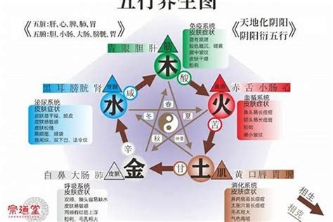 五行水旺缺火|八字五行火旺缺水怎么办 – 缺水忌讳什么